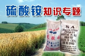 化肥在化工产品卖场中的核心地位与未来发展