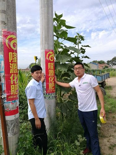 化肥选择与辨别 扎赉特旗农民实用指南
