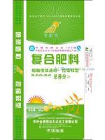 邢台大正化肥厂 大正复混肥的多元化生产与高效供应
